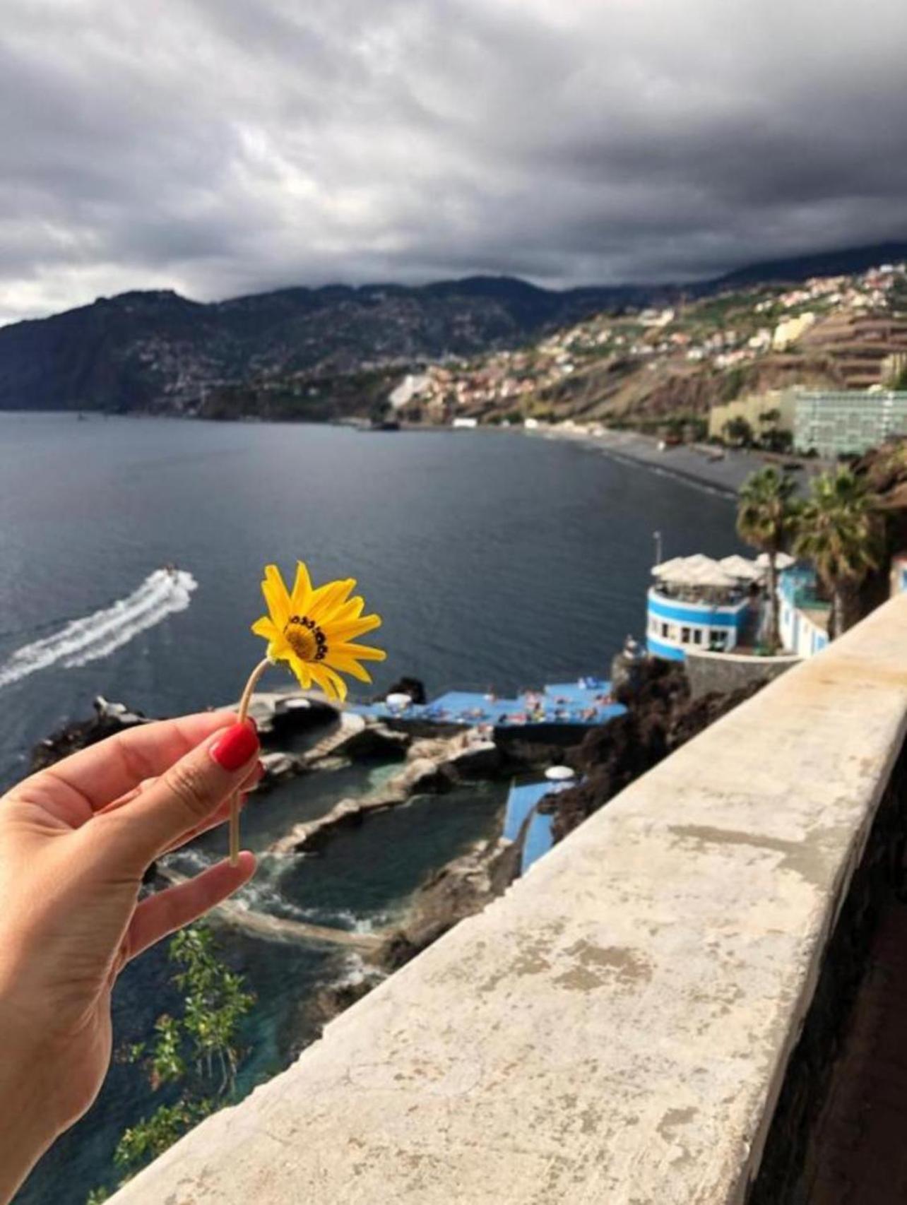 Madeira Residence Apt. 80 Funchal  Exteriör bild